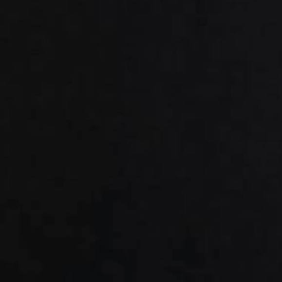 Meet your Posher, Claudia - Picture 1 of 1